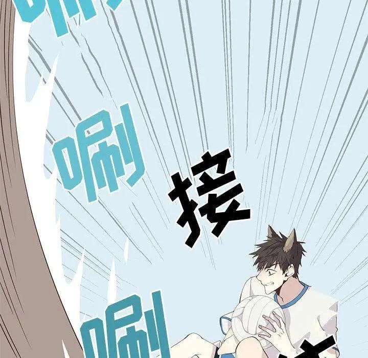 29 第44页