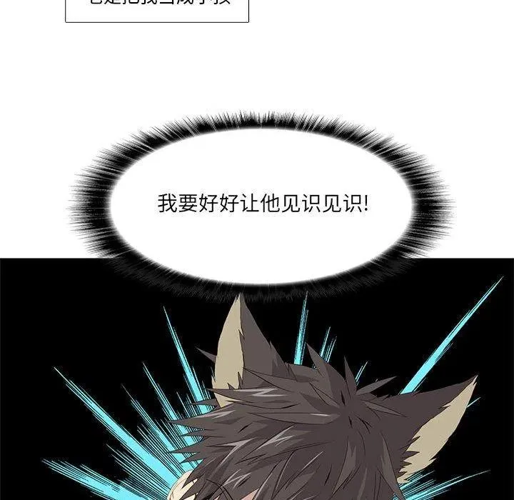29 第51页