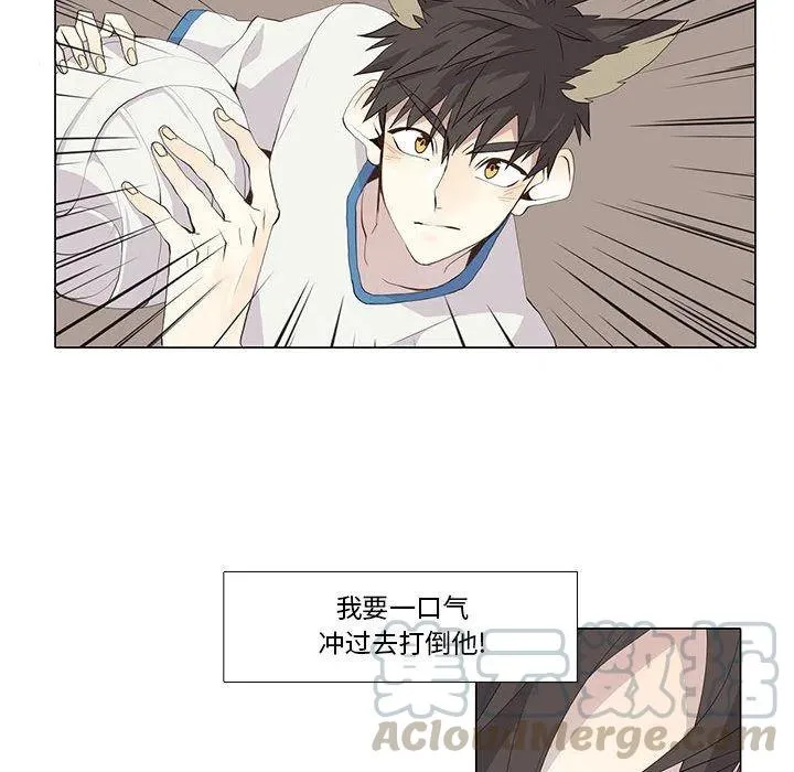 29 第55页
