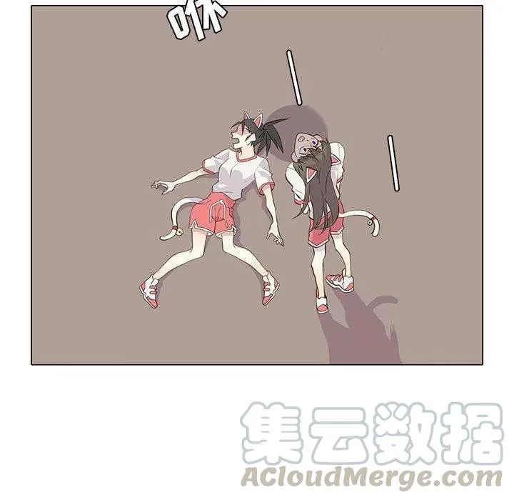 29 第79页
