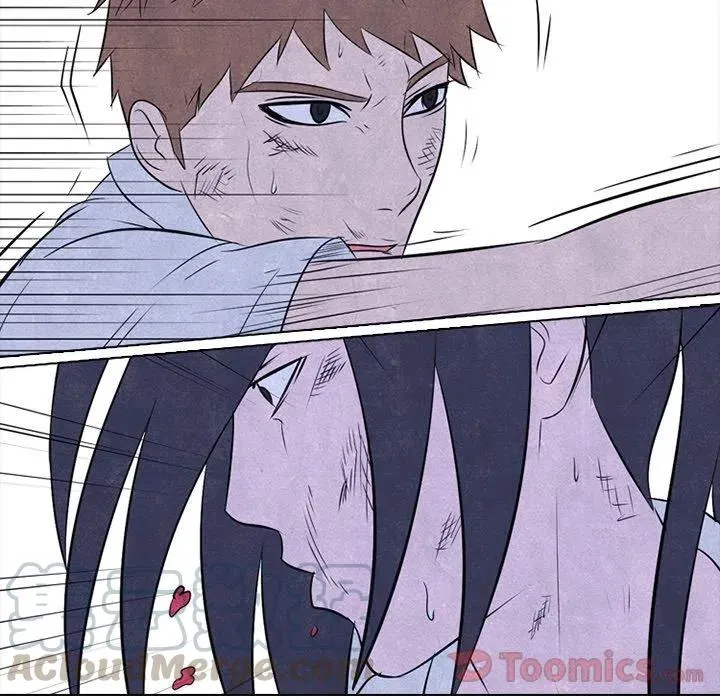 33 第13页