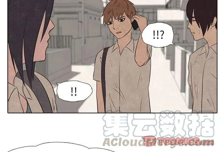 41 第4页
