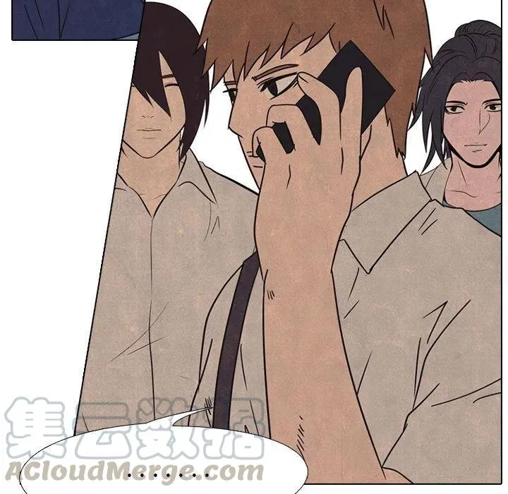 41 第19页