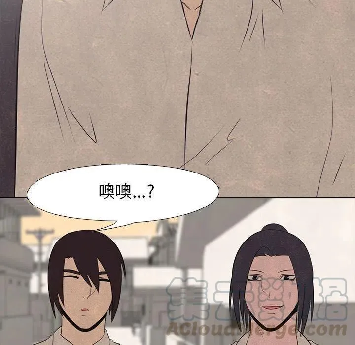 41 第49页