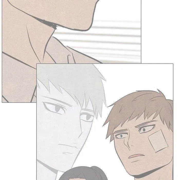 78 第17页