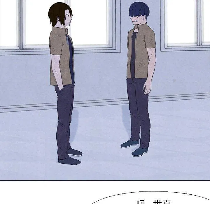 81 第29页