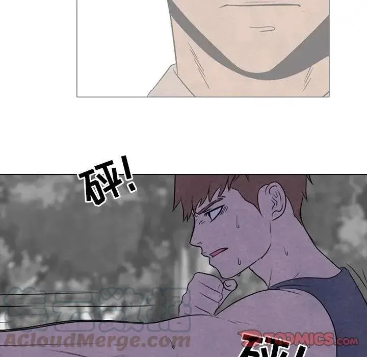 87 第22页