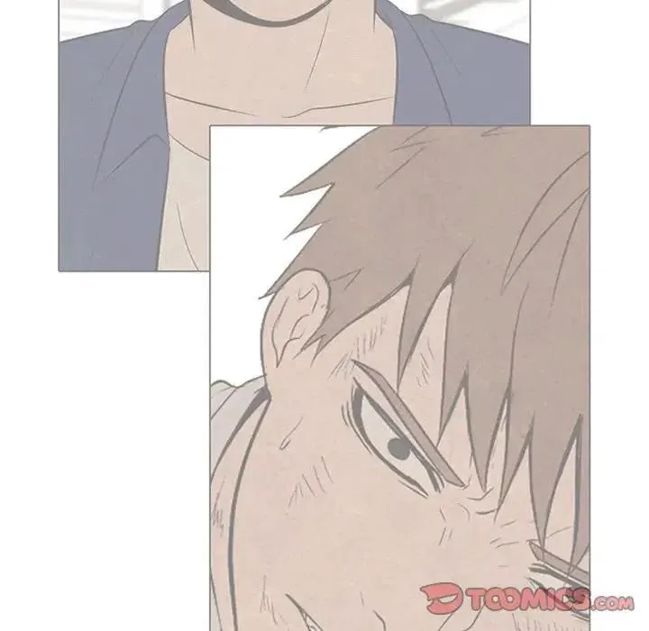 87 第26页