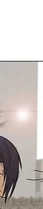 95 第84页