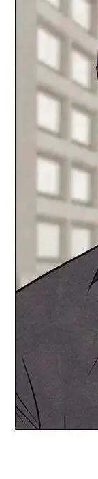 98 第262页