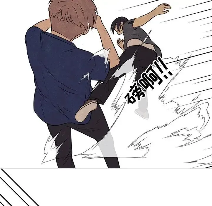 102 第48页