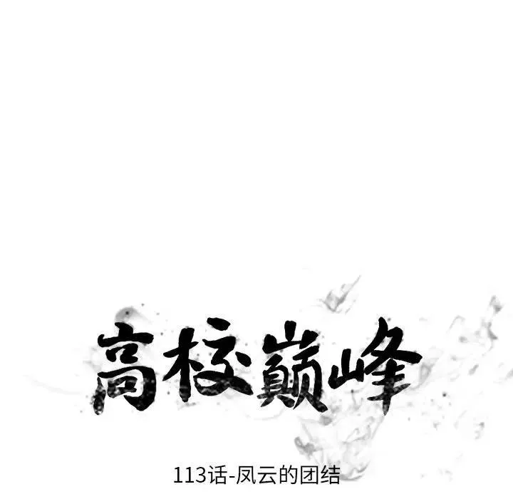 113 第16页