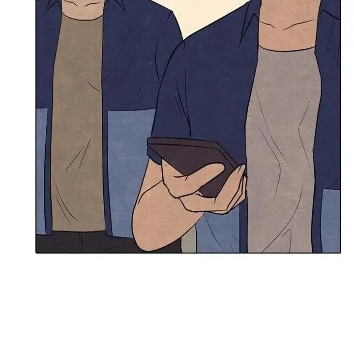 113 第71页