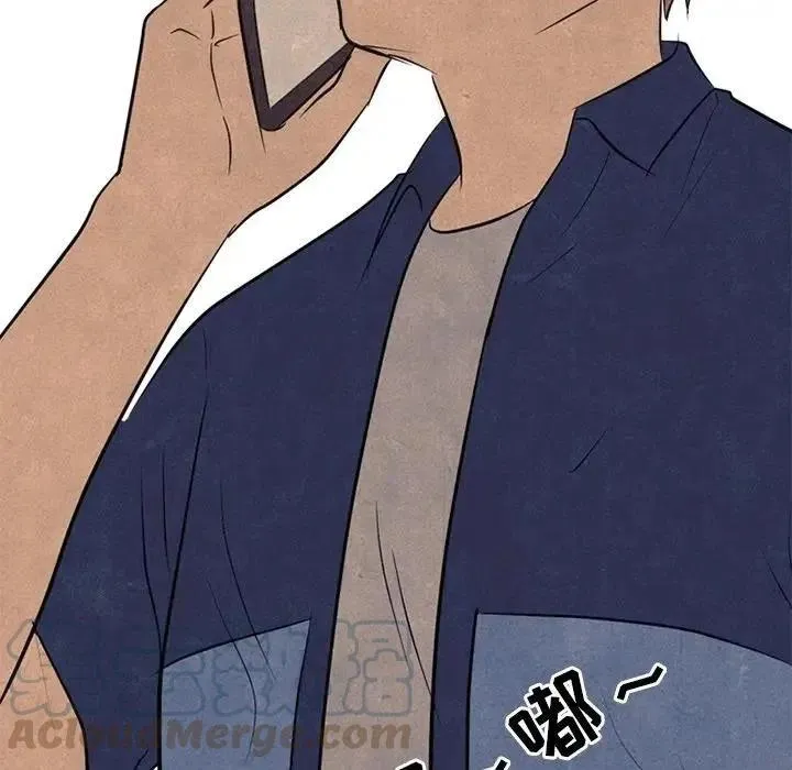 113 第85页