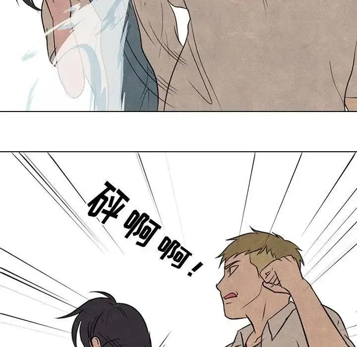 116 第54页