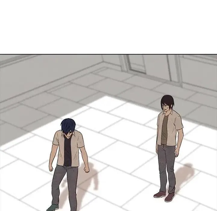 117 第84页