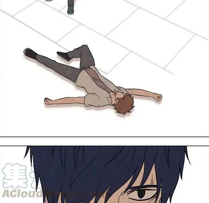 117 第85页
