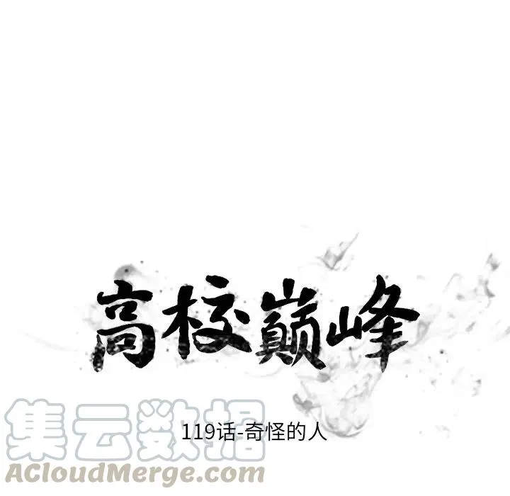 119 第13页