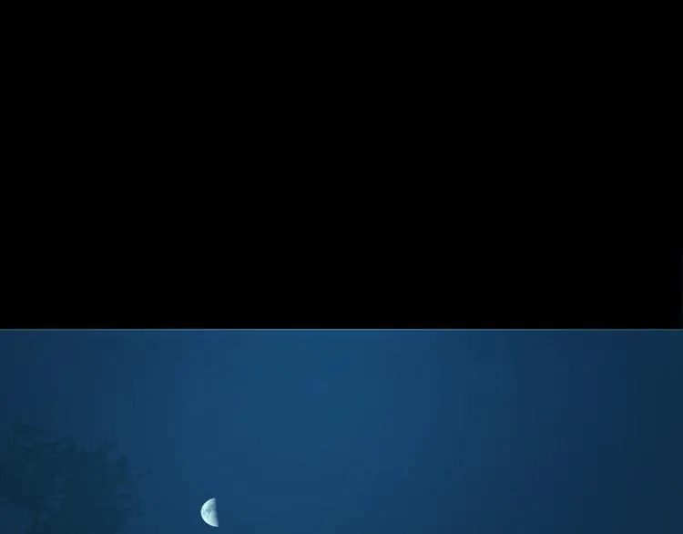第73话 夜色青青 第11页
