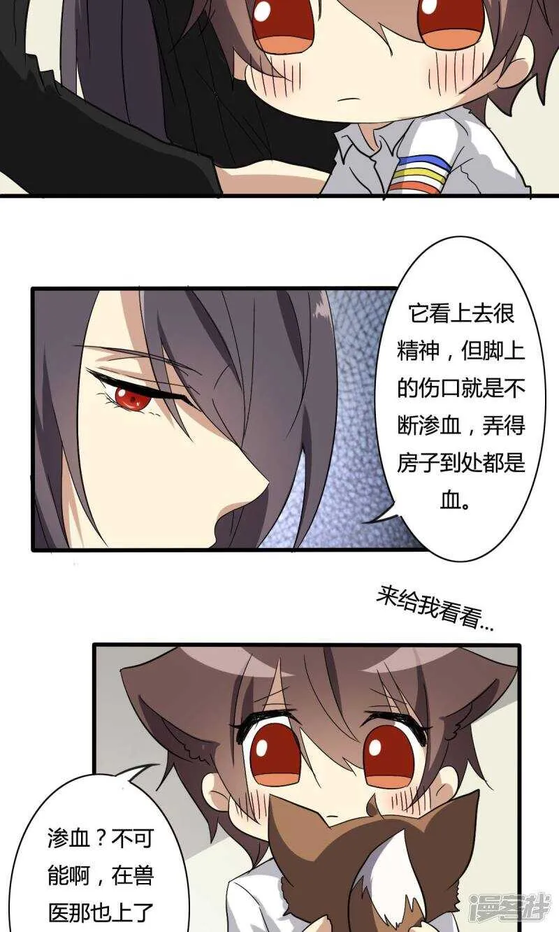 第27话 第15页