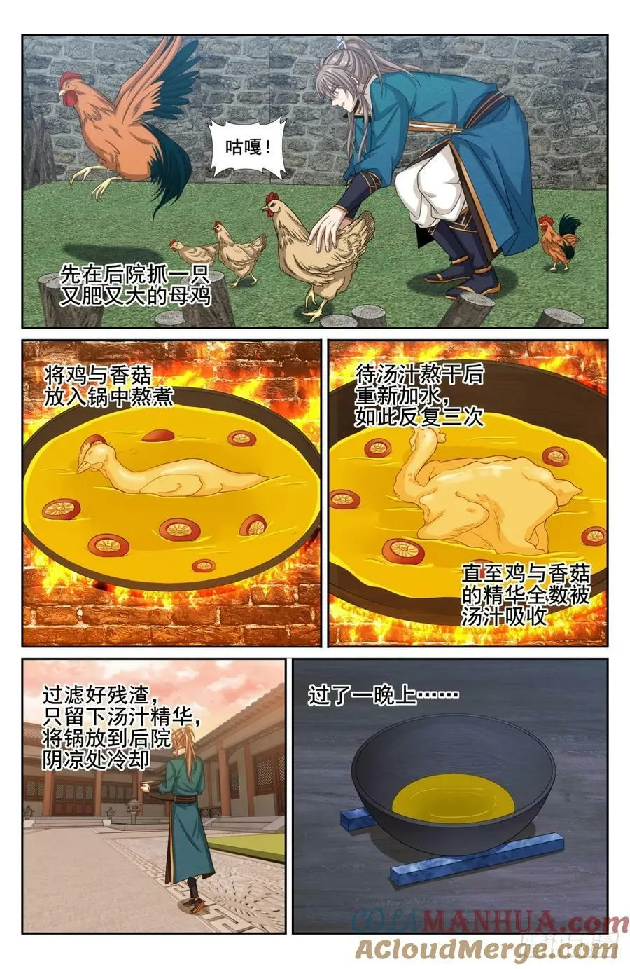 209粗制鸡精 第5页