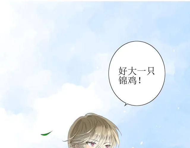 第69话 五色锦鸡 第57页