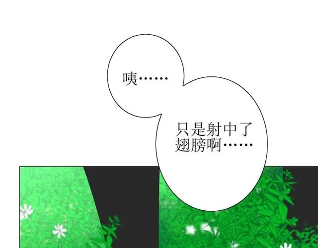第69话 五色锦鸡 第91页