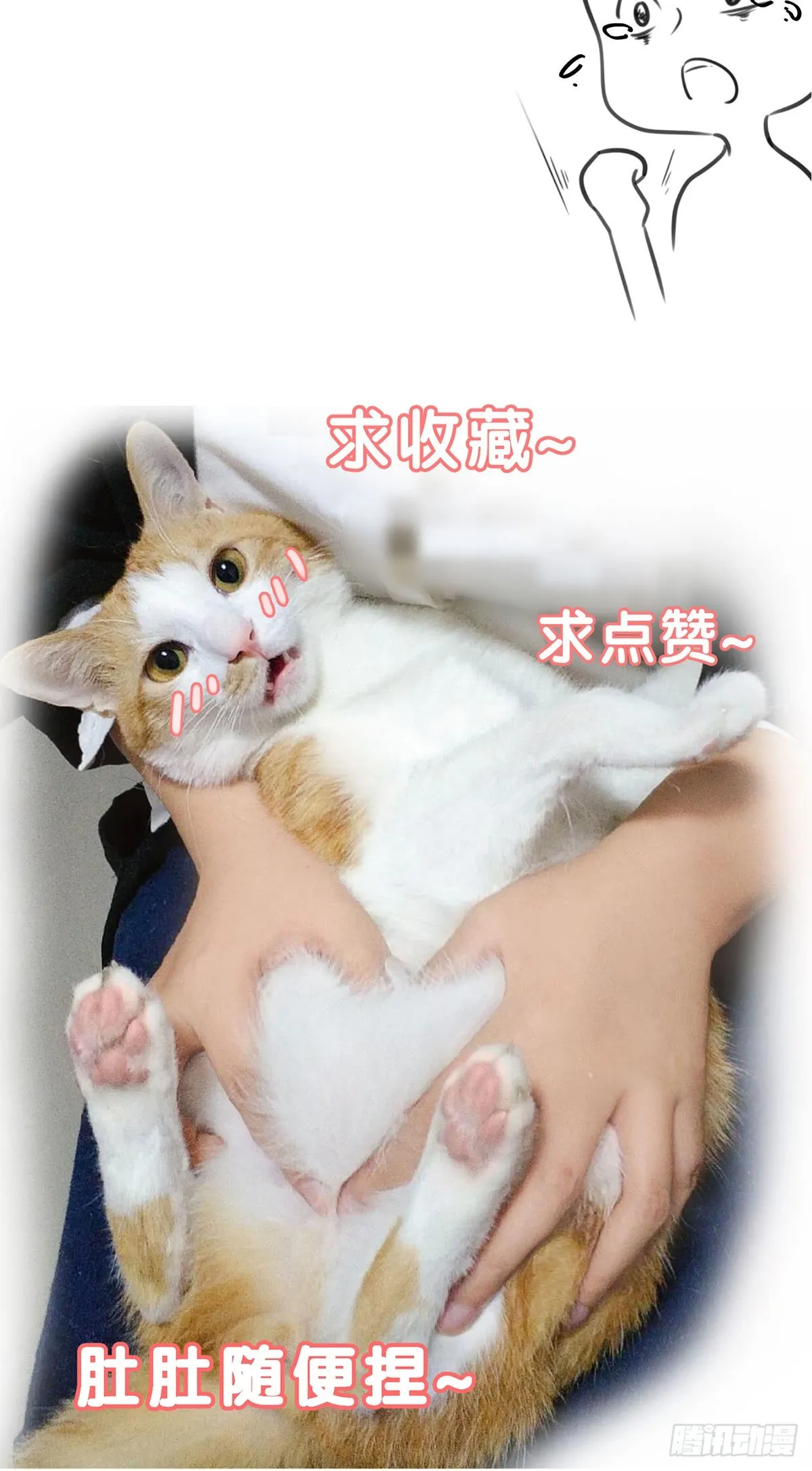 第一夜 第85页