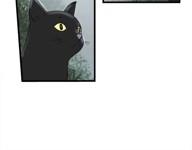 第55话 震惊！女主她竟然 第12页