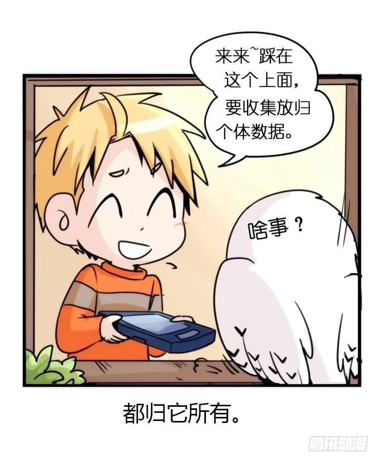飞吧小少爷：真相大白之日 第5页
