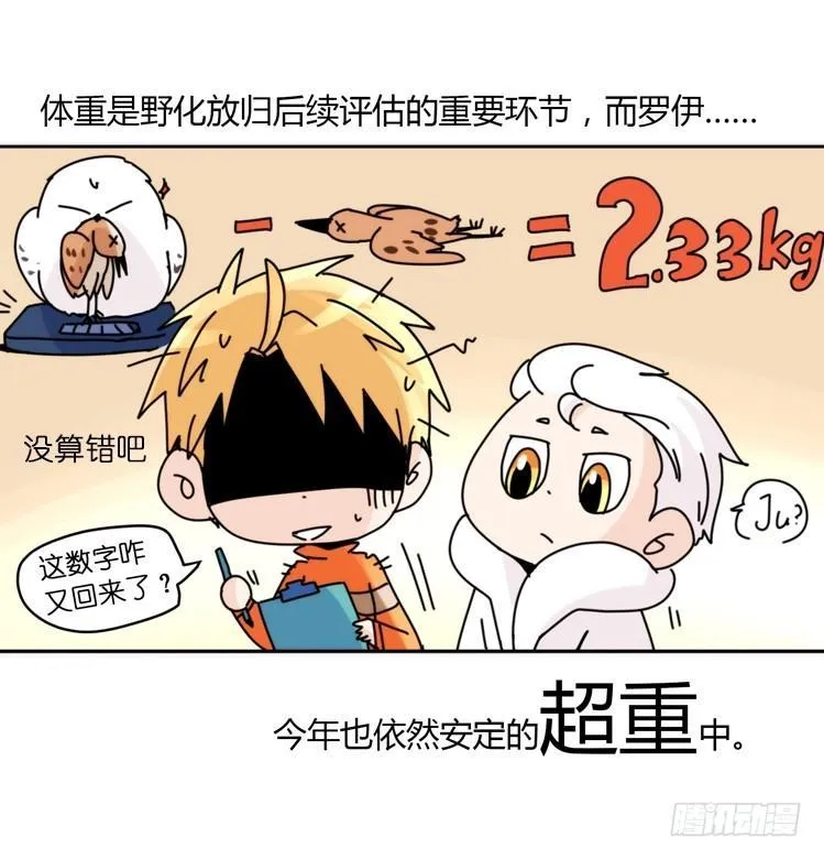 飞吧小少爷：真相大白之日 第17页