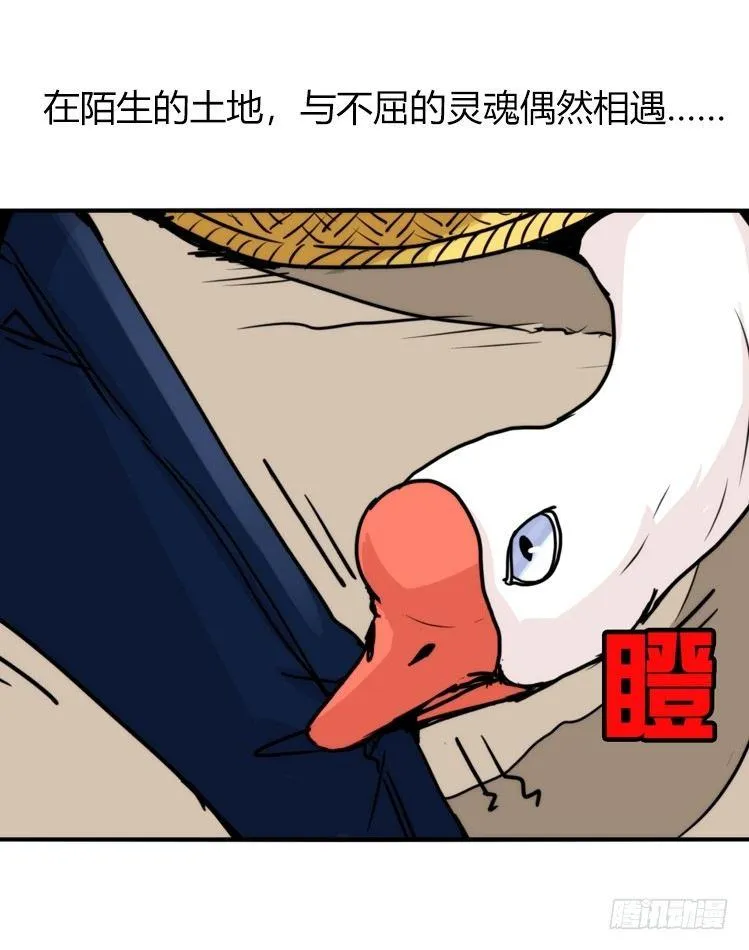 家有鹅霸：命运的邂逅 第12页