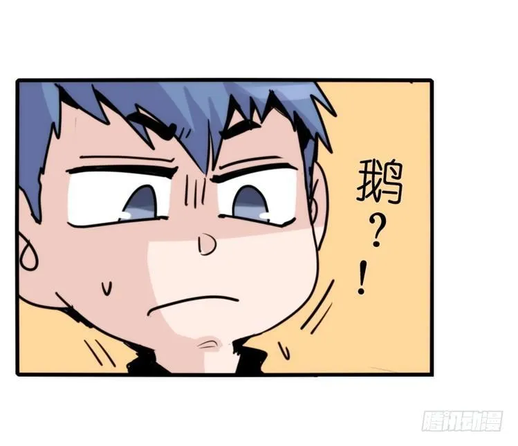家有鹅霸：命运的邂逅 第13页