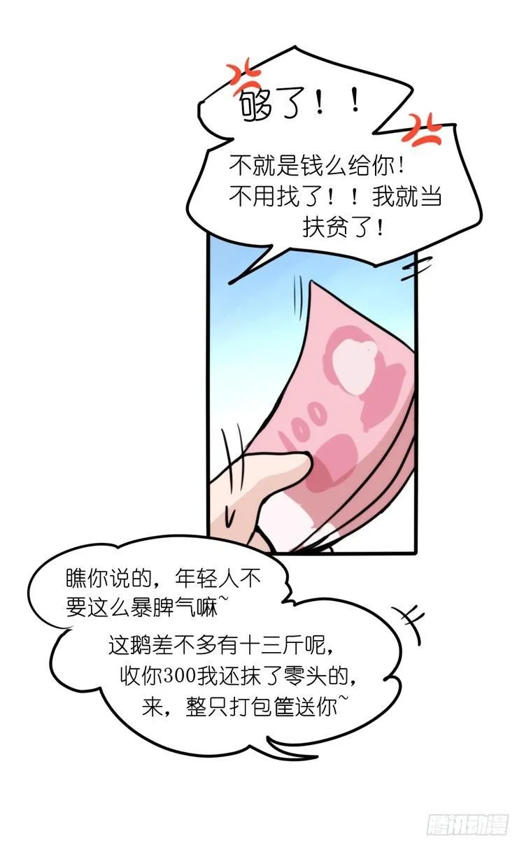 家有鹅霸：命运的邂逅 第17页