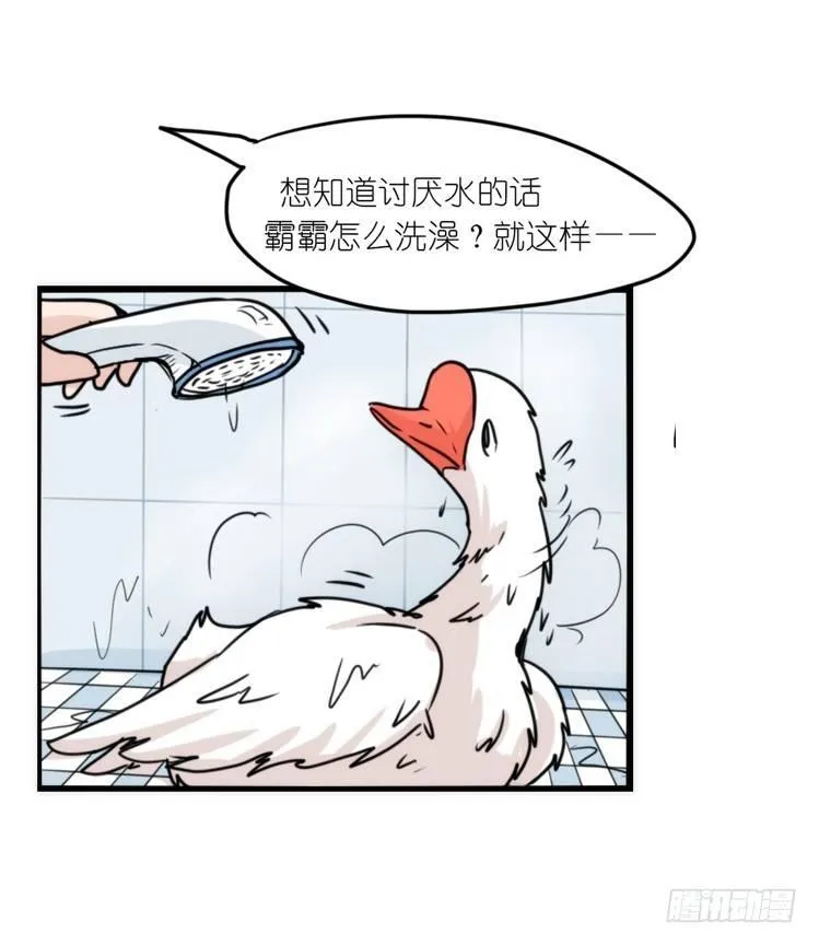 动协在行动15：正确调教法？ 第33页