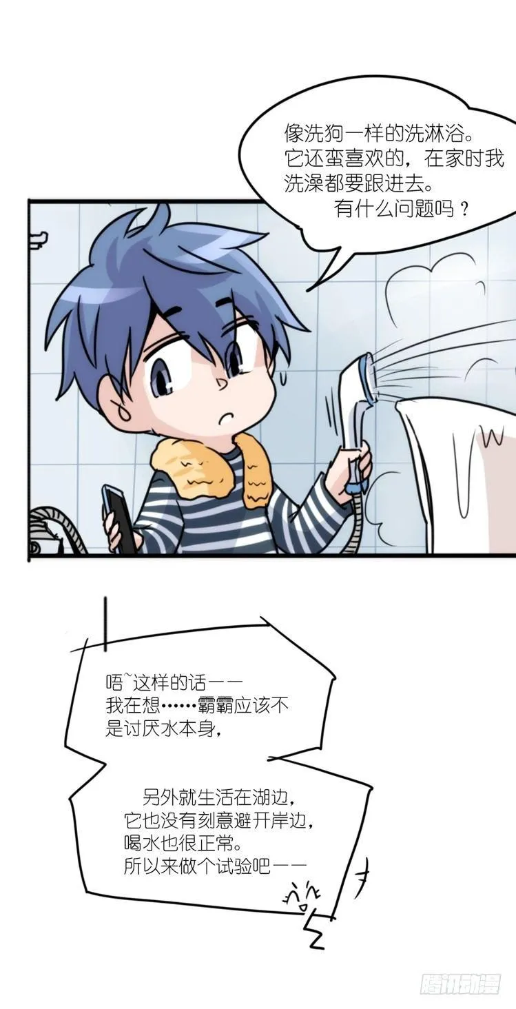动协在行动15：正确调教法？ 第36页