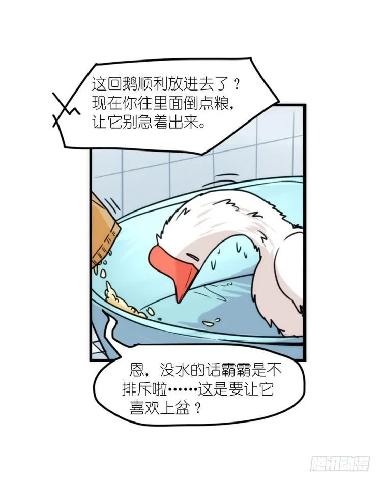 动协在行动15：正确调教法？ 第38页