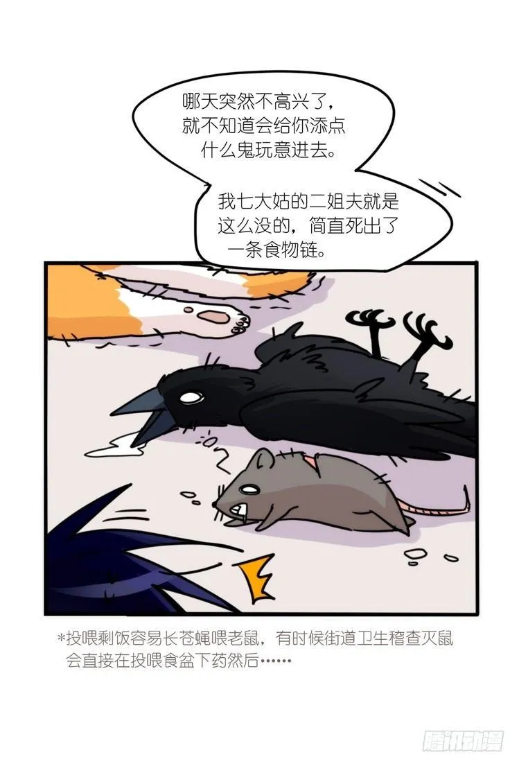 幕间剧场03-生存攻略·中 第3页