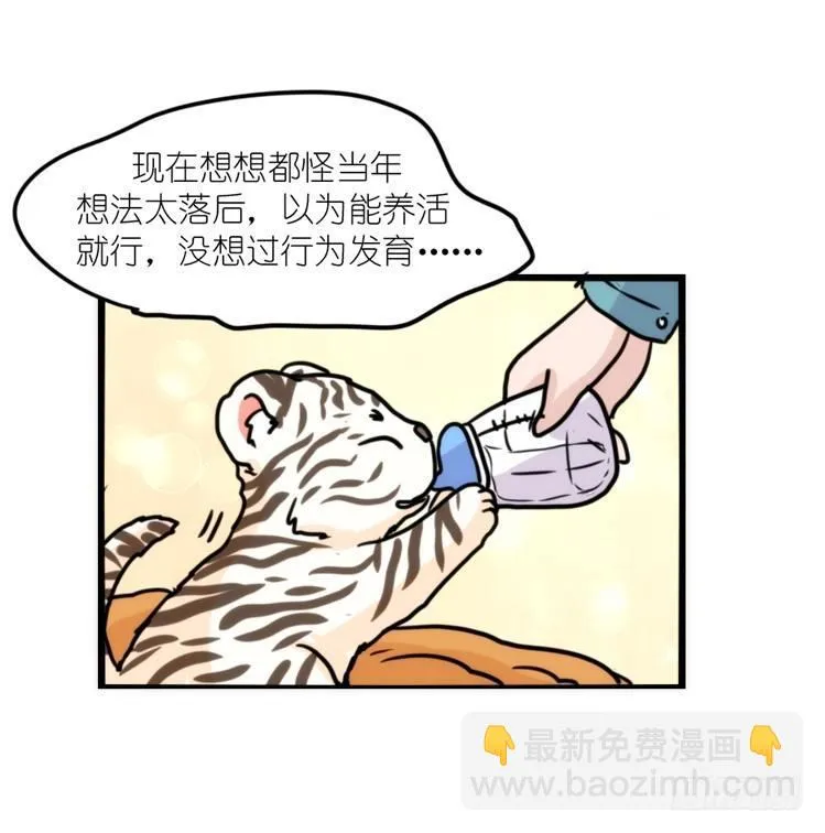 幕间剧场03-生存攻略·中 第22页
