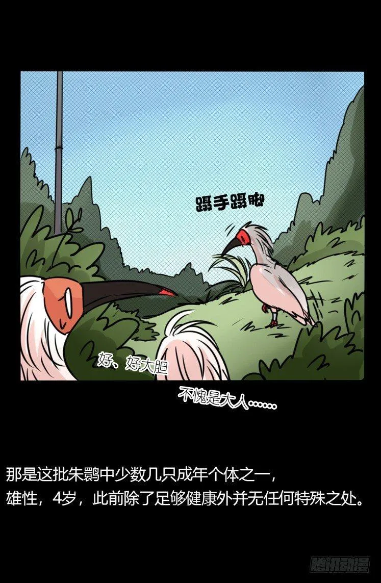 使命篇20：重振绯羽② 第38页