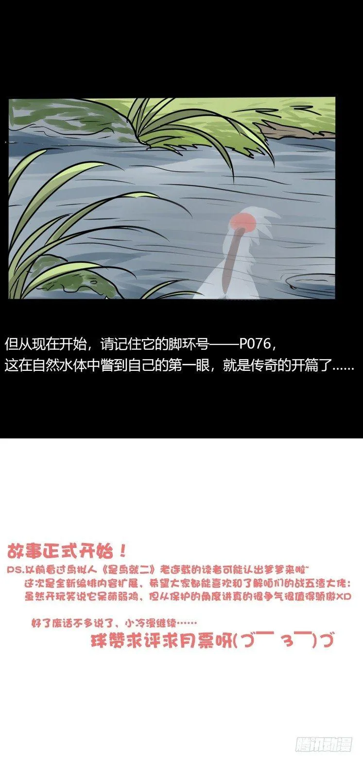 使命篇20：重振绯羽② 第40页