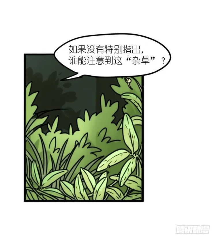 使命篇29：最优解 第25页