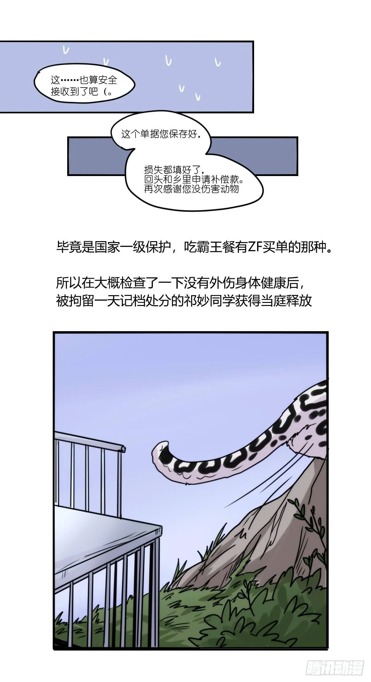 事业篇10：雪豹成为偶像！-4 第12页
