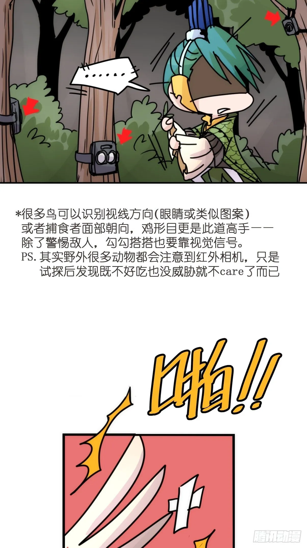 事业篇II：致绿孔雀05 第8页