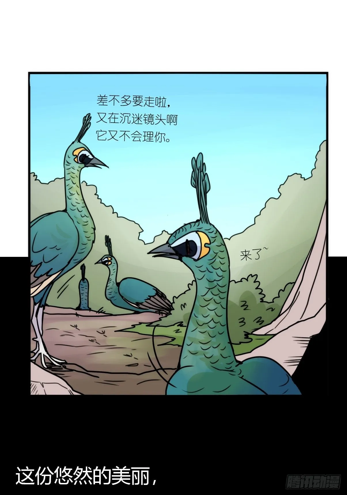 事业篇II：致绿孔雀05 第26页