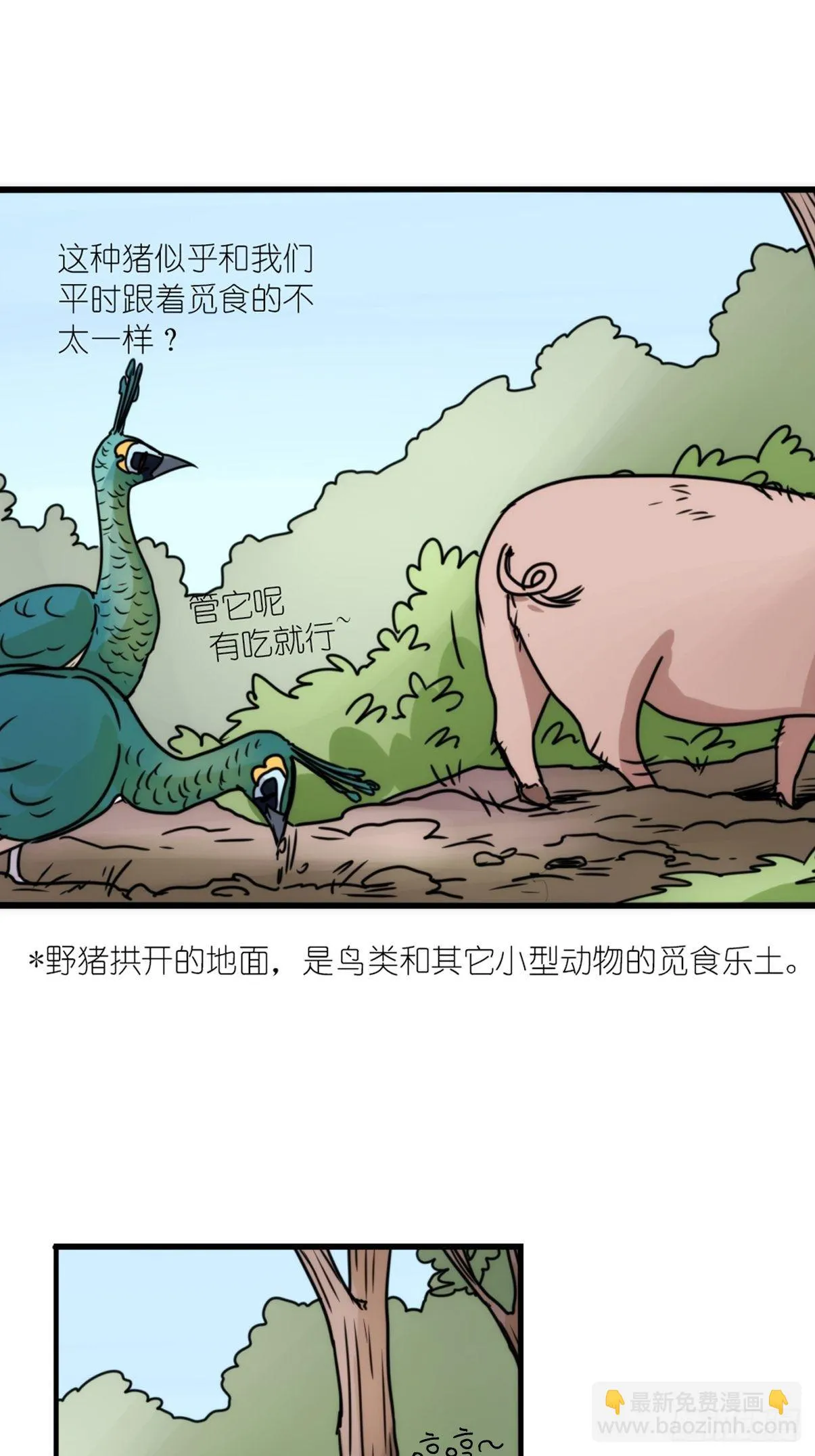 事业篇II：致绿孔雀05 第36页