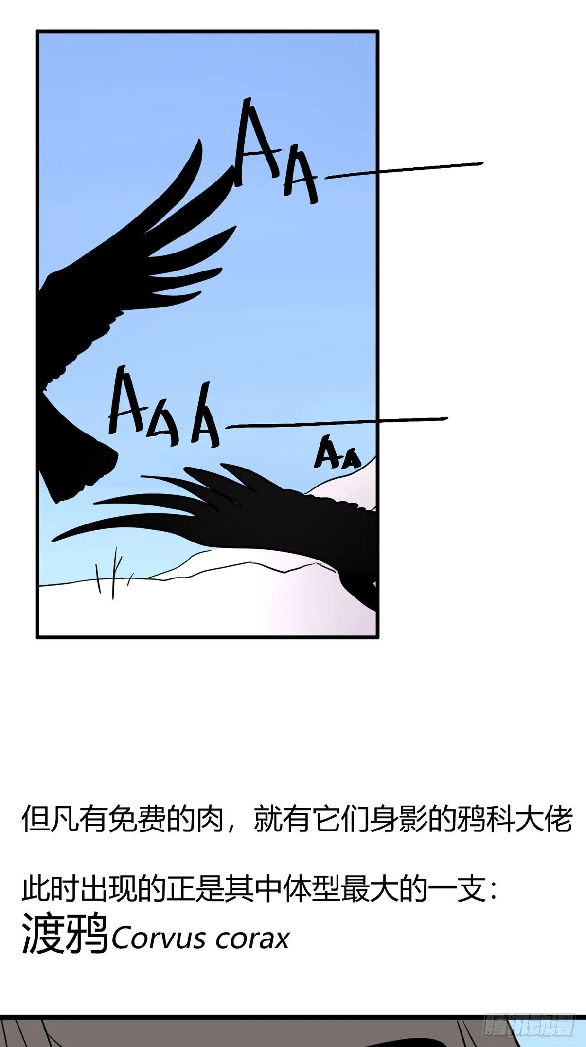 事业篇II：那个著名的故事…… 第24页
