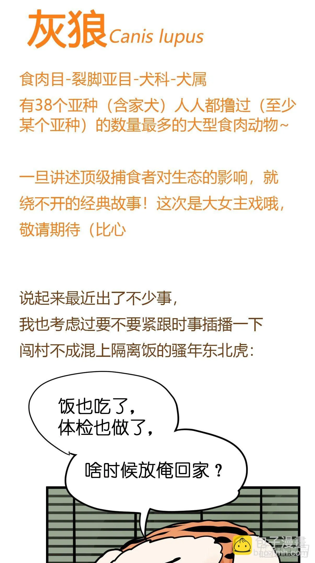 事业篇II：那个著名的故事…… 第50页