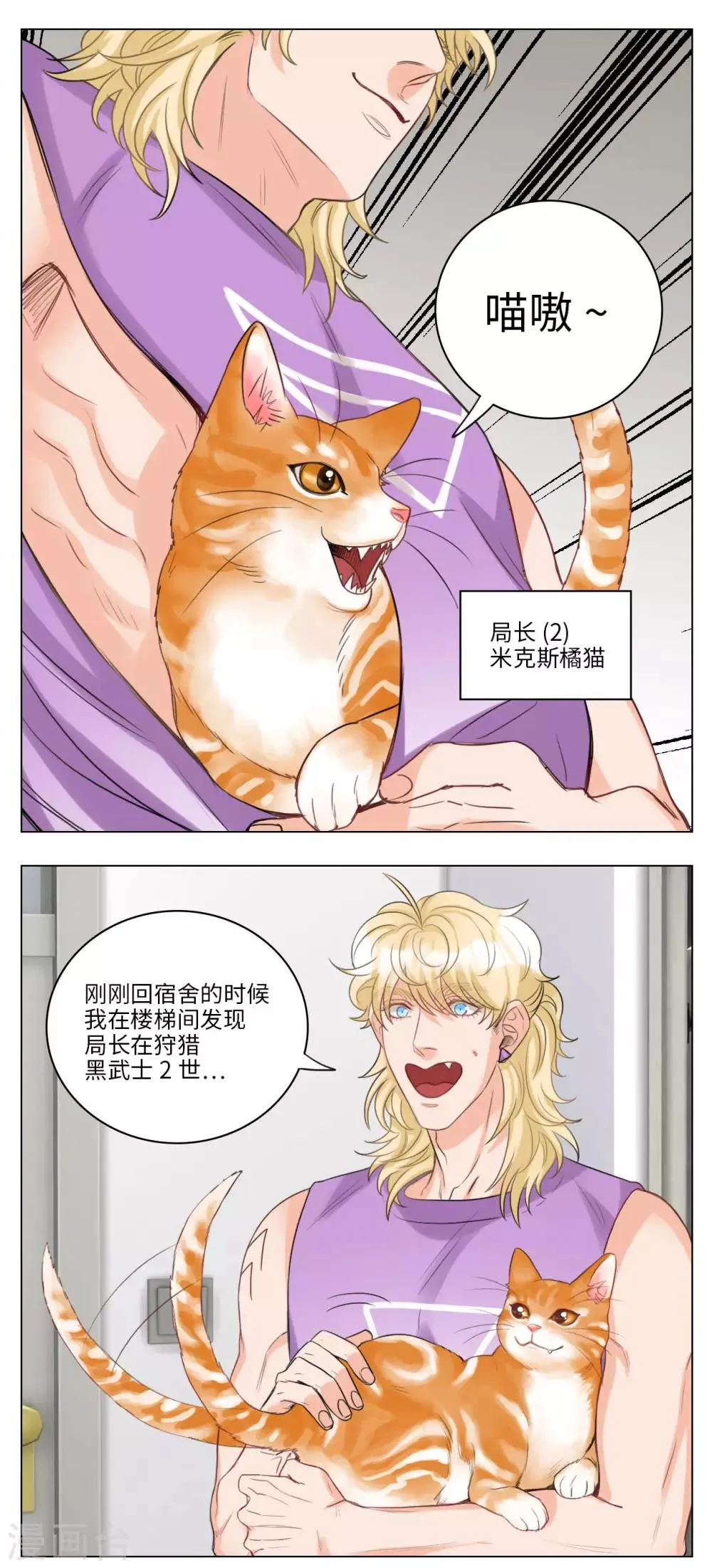 第53话 猫奴 第5页