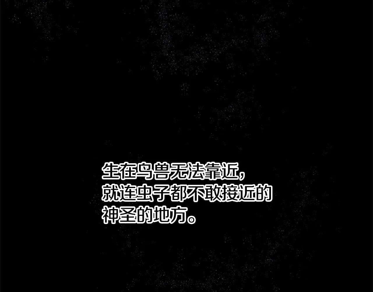 第7话 黄金树林的传说 第41页